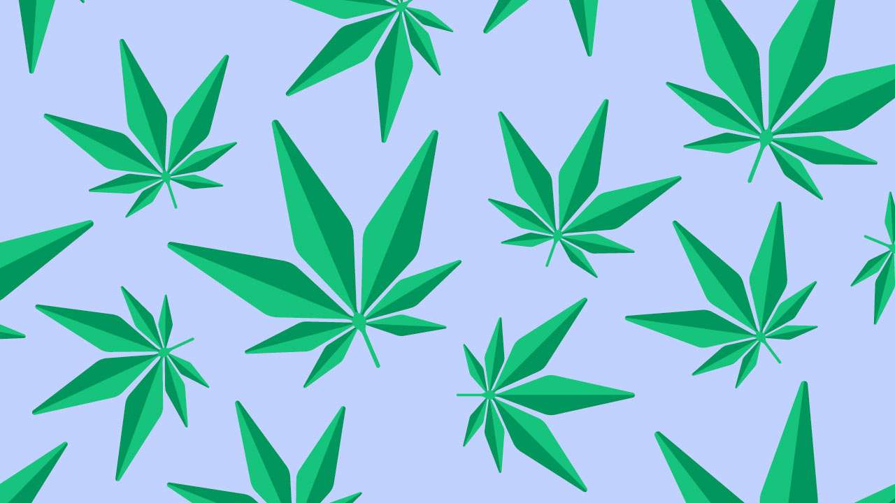 Cannabis-Aktien: Anleger im Rausch