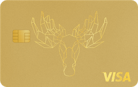 Bank Norwegian Visa