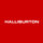 Halliburton Co Icon