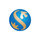 Shinhan Financial Group Co Ltd Icon