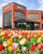 Analog Devices Inc Icon