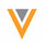 Veeva Systems Inc Class A Icon