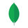MongoDB Inc Class A Icon