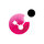 Check Point Software Technologies Ltd Icon