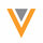 Veeva Systems Inc Class A Icon