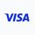 Visa Inc Class A Icon