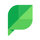Sprouts Farmers Market Inc Icon
