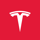 Tesla Inc Icon