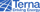 Terna SpA Icon